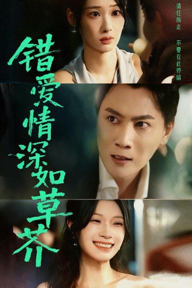 错爱情深如草芥（46集）秦璐瑶&宋星瀚 高清完整版