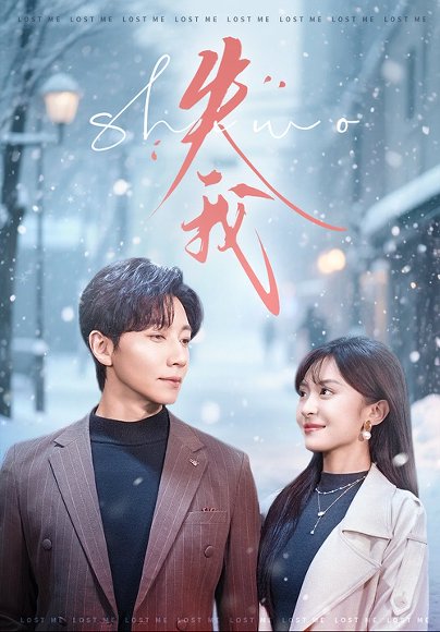 失我（70集）宋晨＆程琳苗 高清完整版